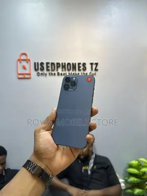 Apple iPhone 12 Pro Max 256 GB Blue