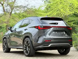 Lexus NX 2024 Gray