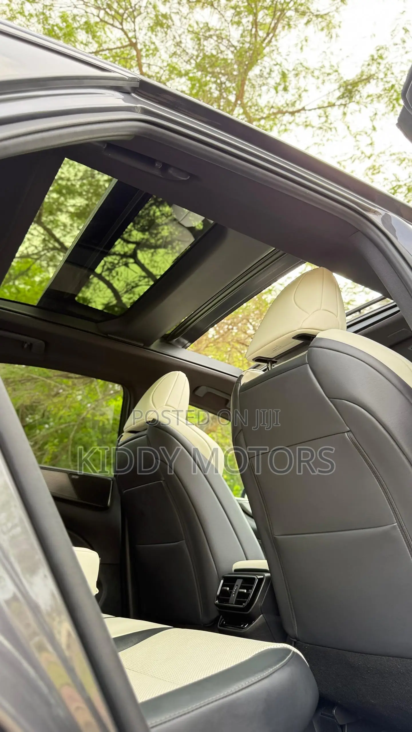 Lexus NX 2024 Gray