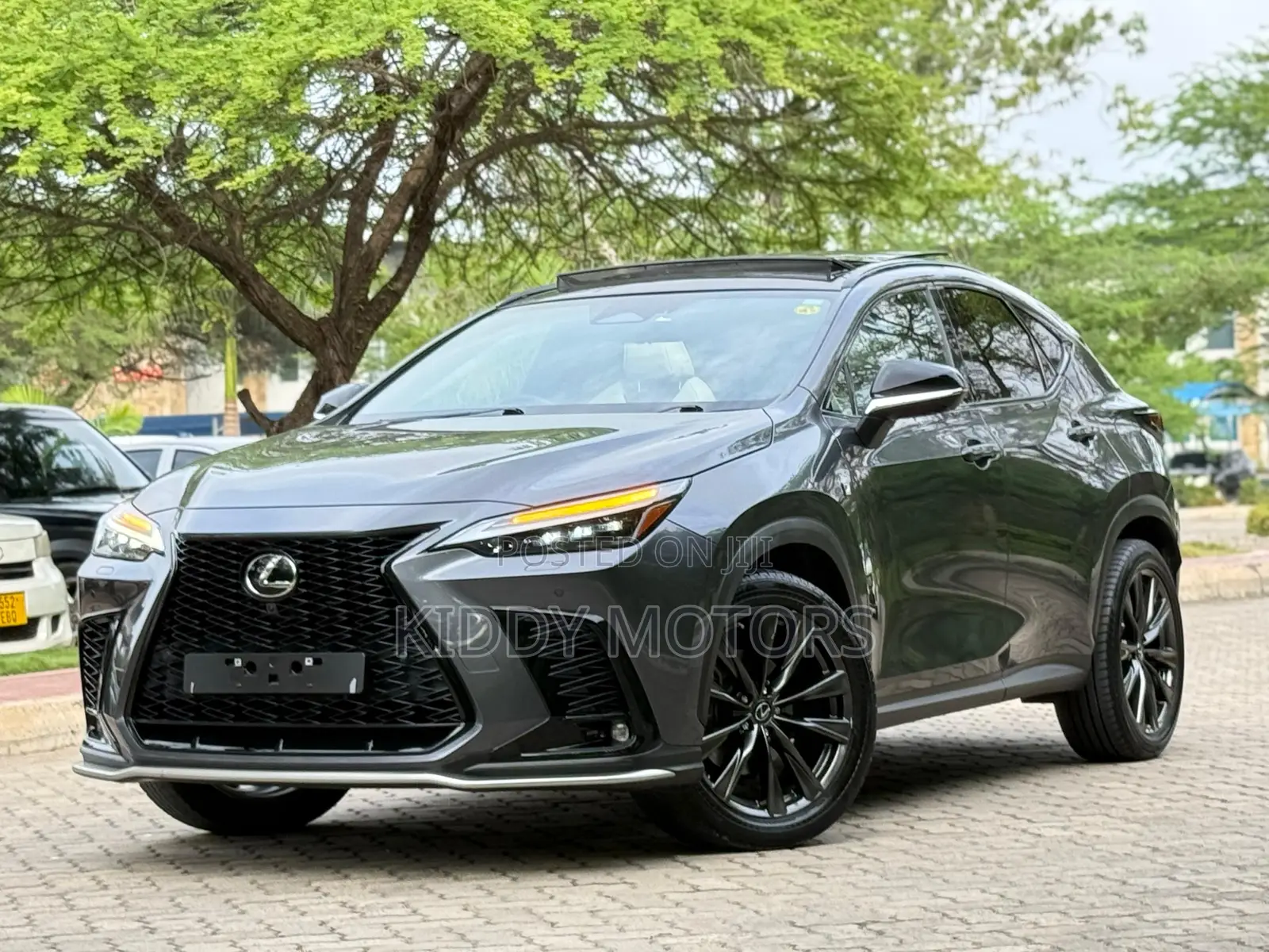 Lexus NX 2024 Gray