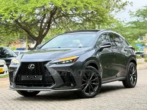 Lexus NX 2024 Gray