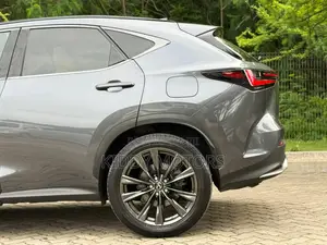 Lexus NX 2024 Gray