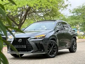 Lexus NX 2024 Gray