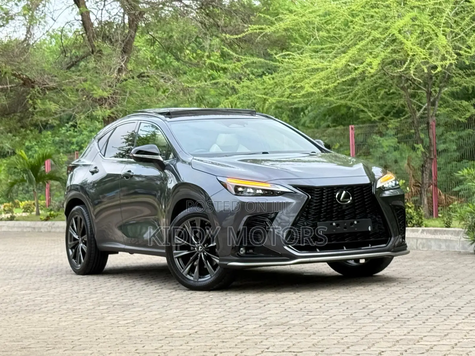 Lexus NX 2024 Gray