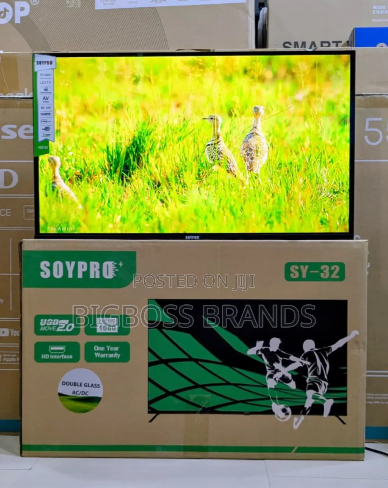 Soypro 32 Inches Double Frameless