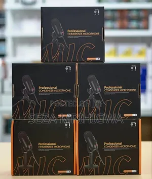 *Professional Condensor Microphone