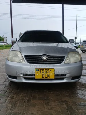 Toyota Allex 2003 Silver