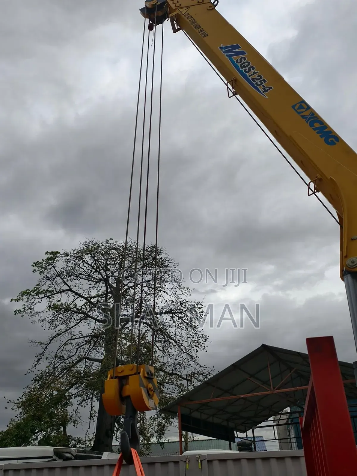 Crane for Sale 