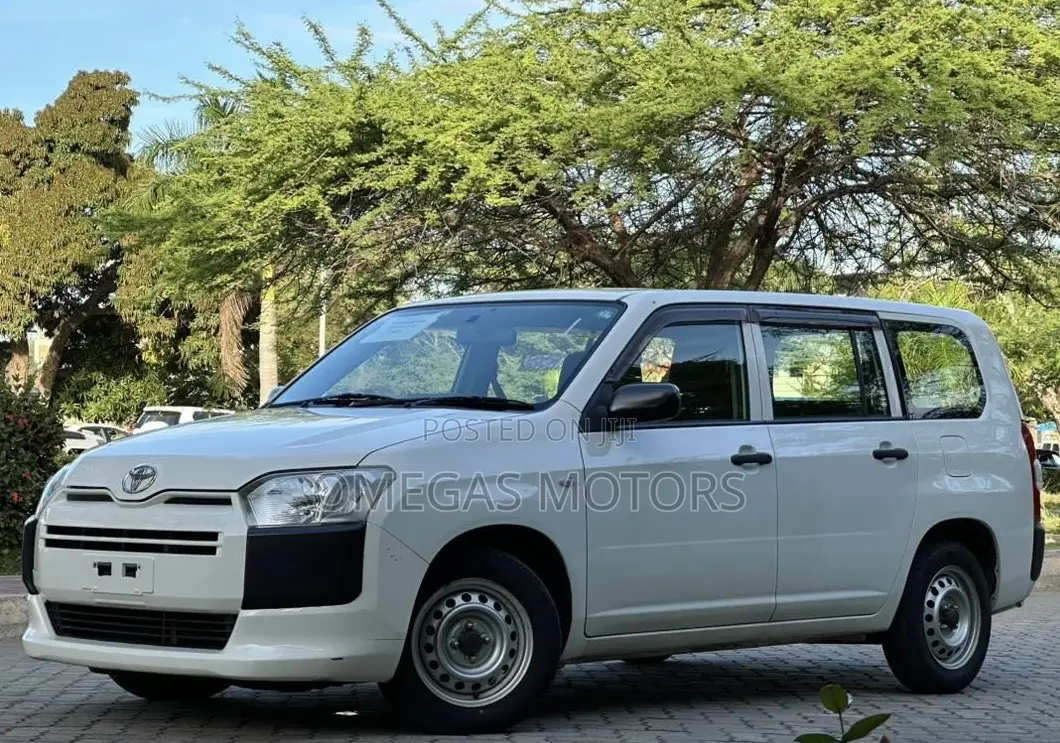 Toyota Probox 1.5 DX 4WD 2015 Pearl