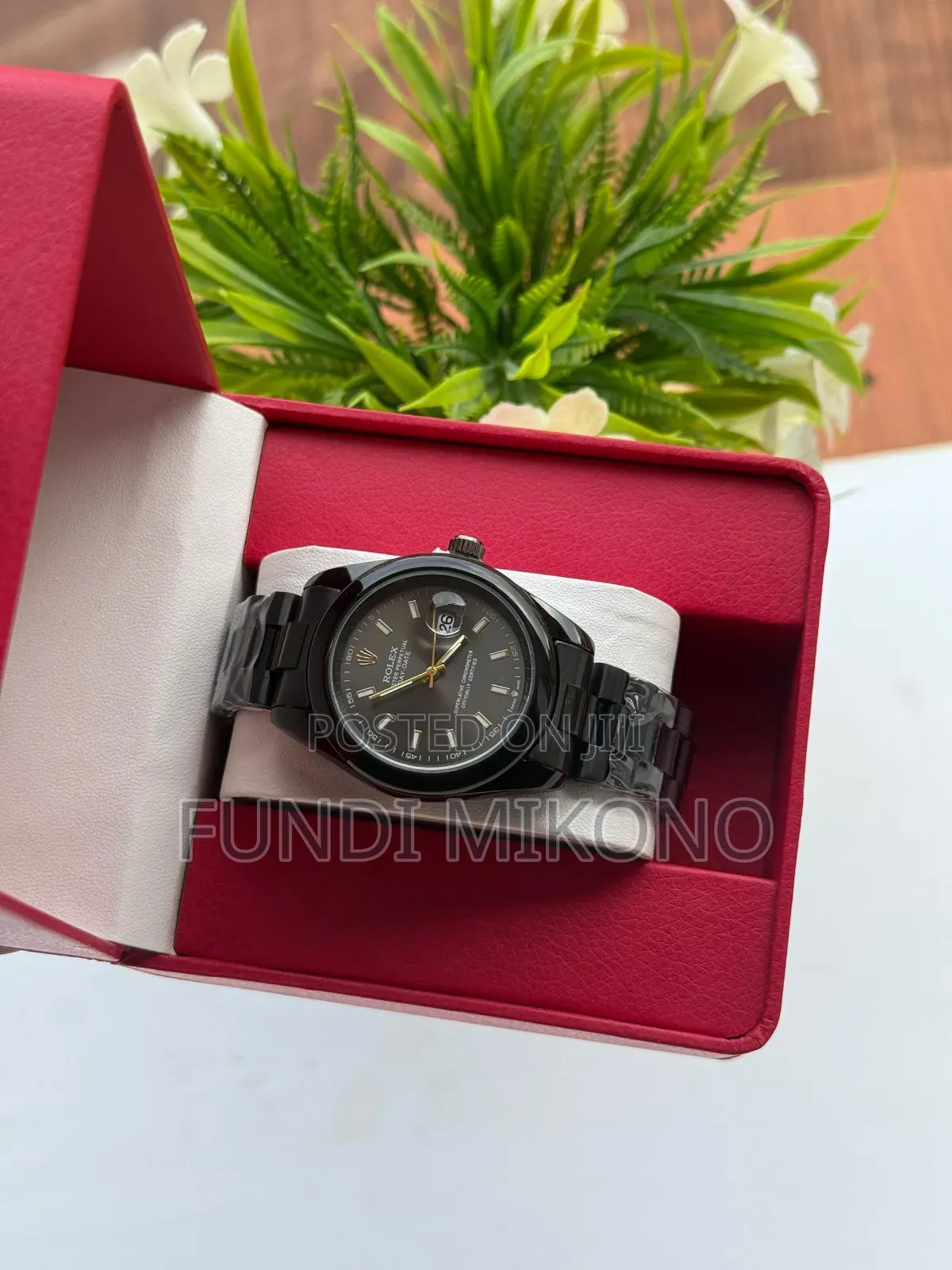 New Rolex Watches