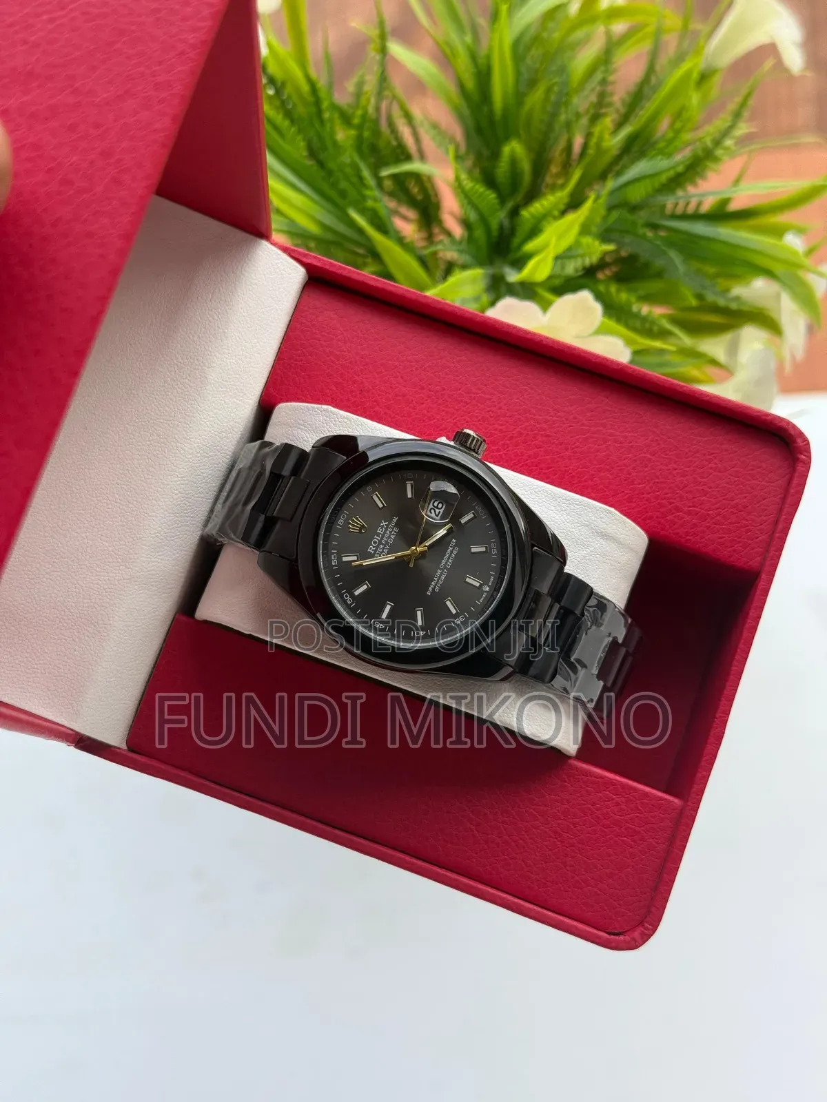 New Rolex Watches