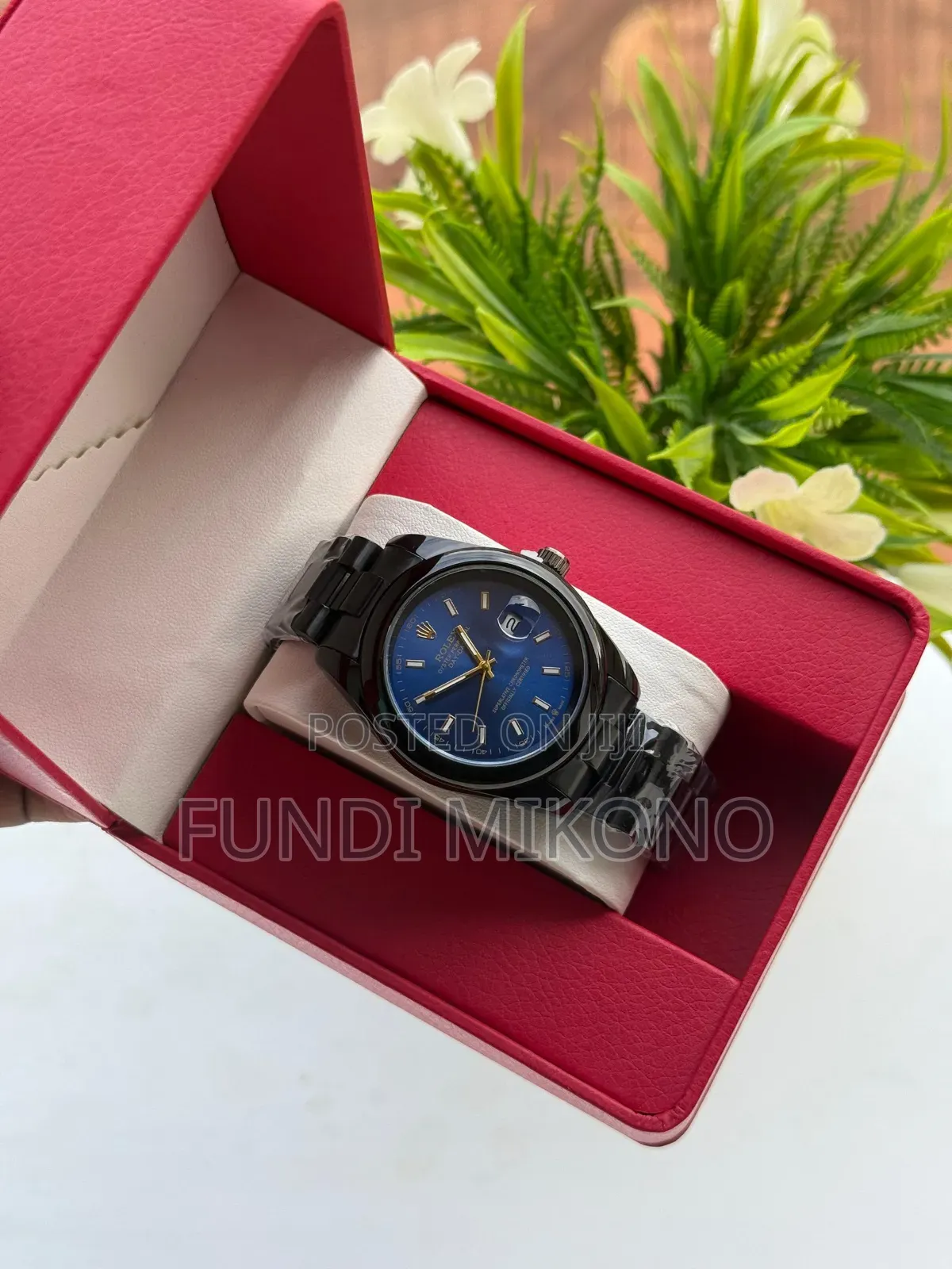 New Rolex Watches
