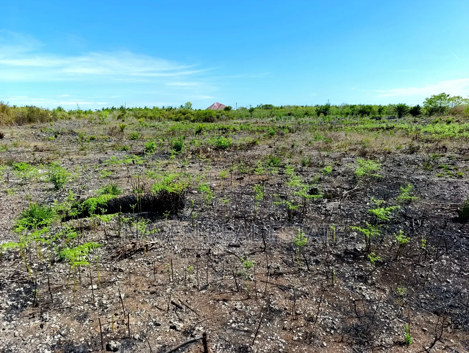 Plot for Sale at Paje Zanzibar