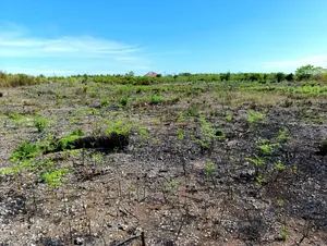 Plot for Sale at Paje Zanzibar