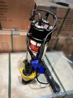 Royalty Submersible Water Pump 2hp