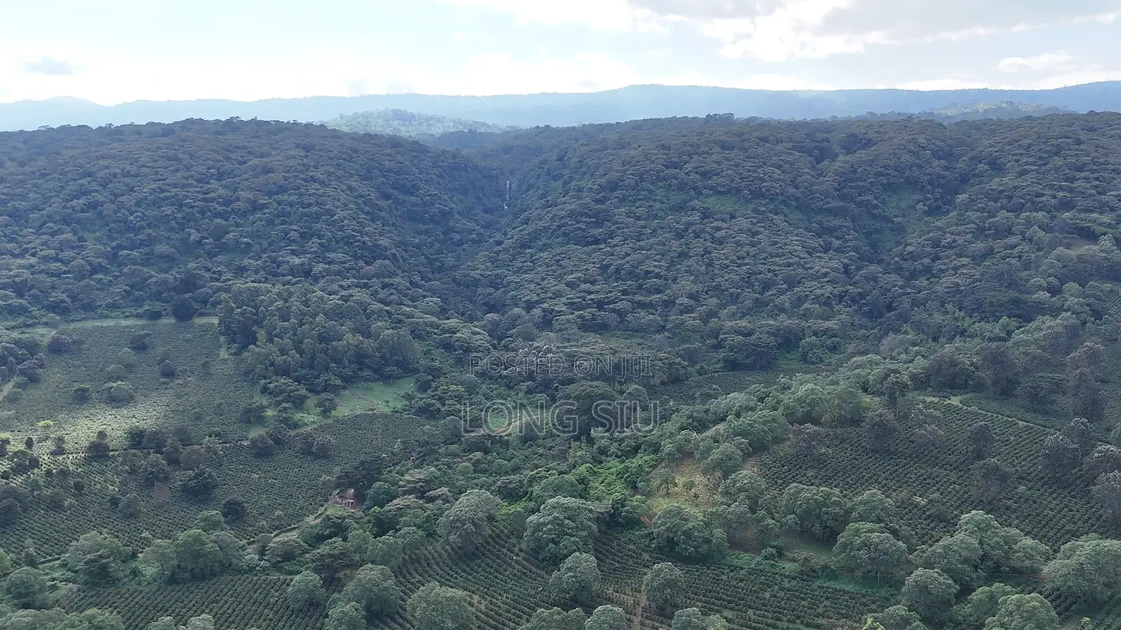 Ready Buyer for Commercial Land in Karatu/Ngorongoro [Nunua Ardhi]
