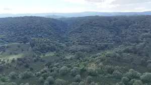 Ready Buyer for Commercial Land in Karatu/Ngorongoro [Nunua Ardhi]