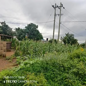 Viwanja Vinauzwa Kwa Mfipa Kibaha