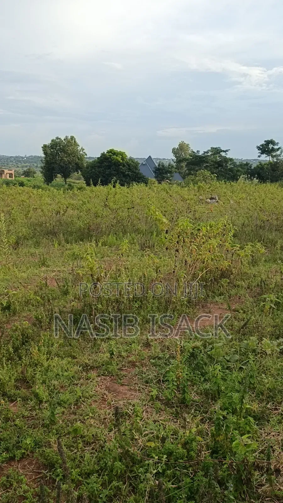Plot for Sale Mwanza Ilemela Busweru