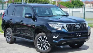 Toyota Land Cruiser Prado 2.8 2023 Blue