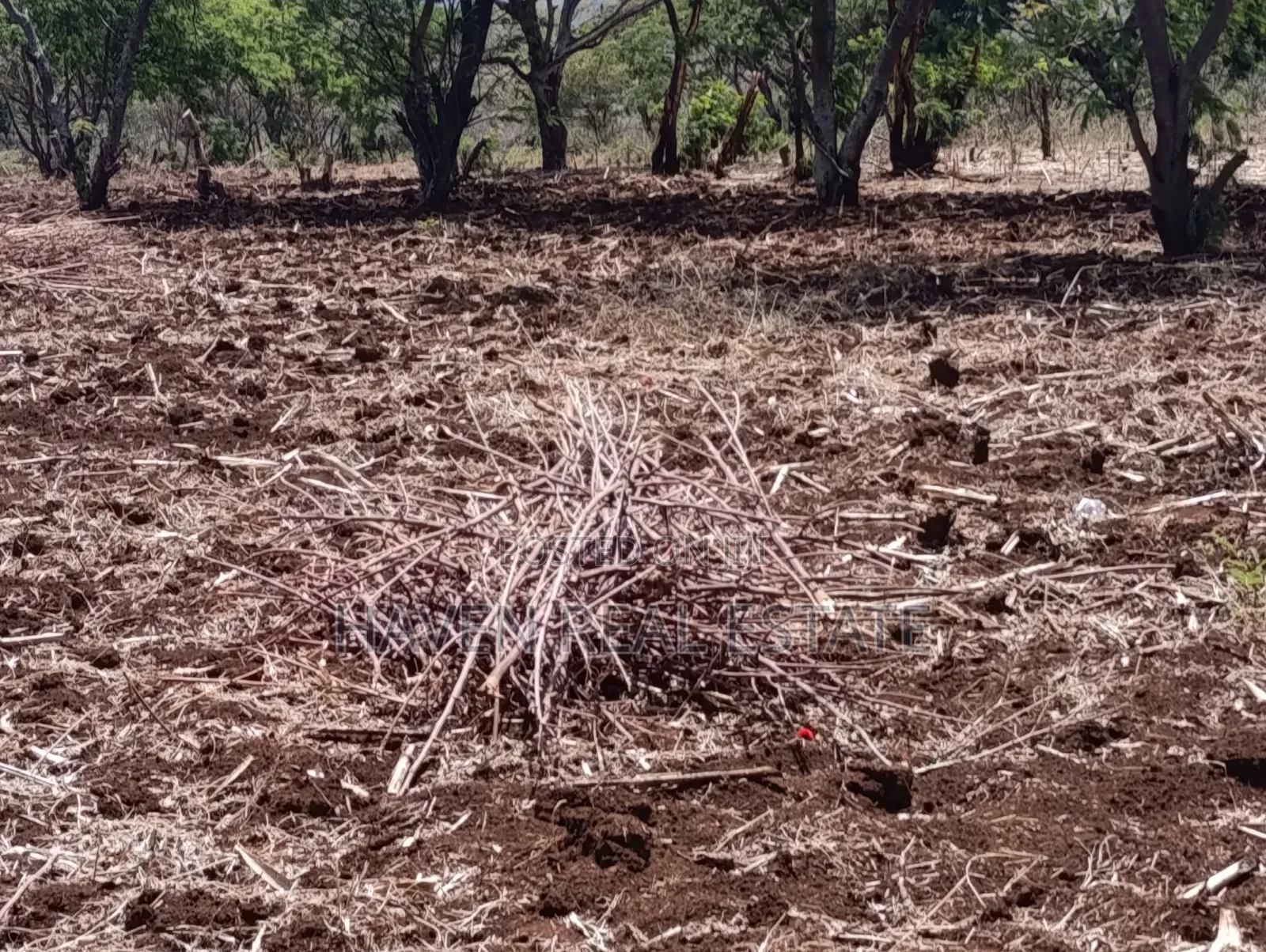 *10 Acres at Ngorongoro Conservation Area for Sale in Karatu*