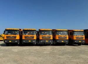 Dump Trucks/Tipper