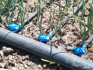 Drip Lines Rain
