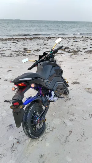 Kawasaki Bike 2025 Black