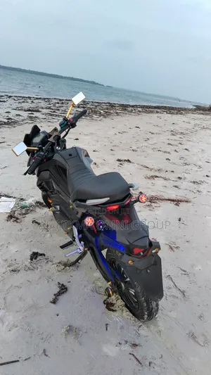 Kawasaki Bike 2025 Black
