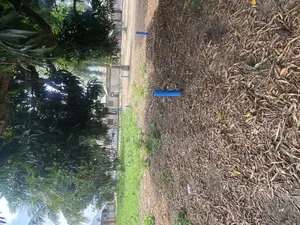 Plot for Sale Kibada Kigamboni