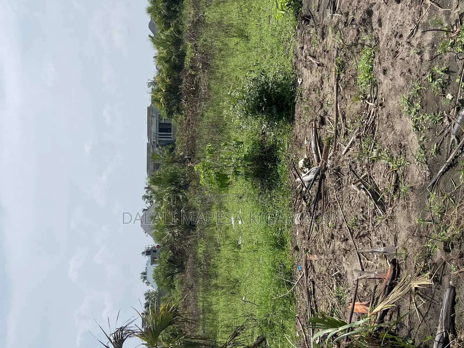 Plot for Sale Kibada Kwa Mkolea Kigamboni