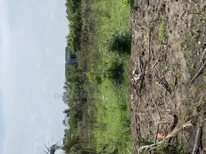 Plot for Sale Kibada Kwa Mkolea Kigamboni