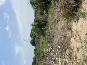 Plot for Sale Kibada Kwa Mkolea Kigamboni