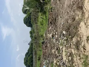 Plot for Sale Kibada Kwa Mkolea Kigamboni