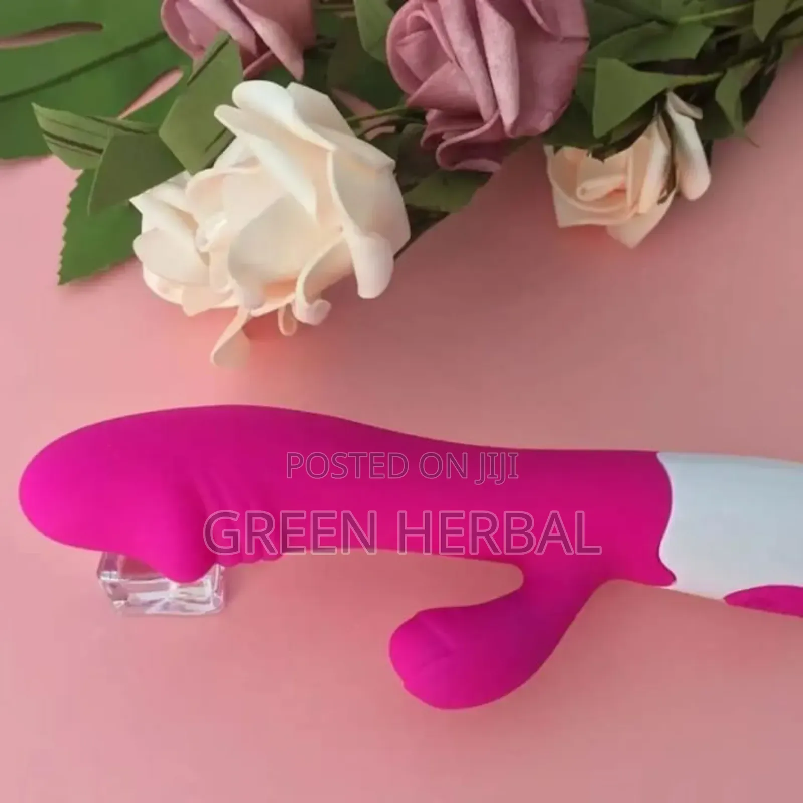 Rabit Vibrator