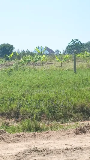 Plot for Sale Mwanza Ruchelele