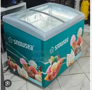 Snowsea Show Case Freezer 300litres