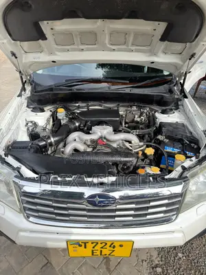 Subaru Forester 2009 Pearl