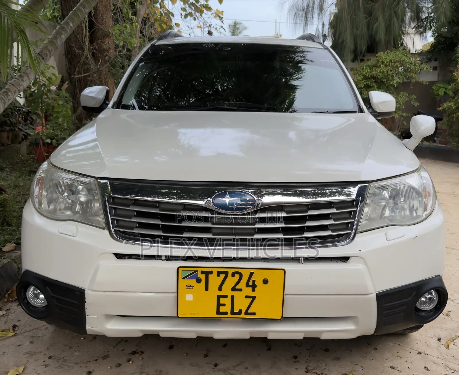 Subaru Forester 2009 Pearl