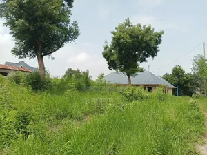 Kiwanja Kimara Korogwe Tambarale