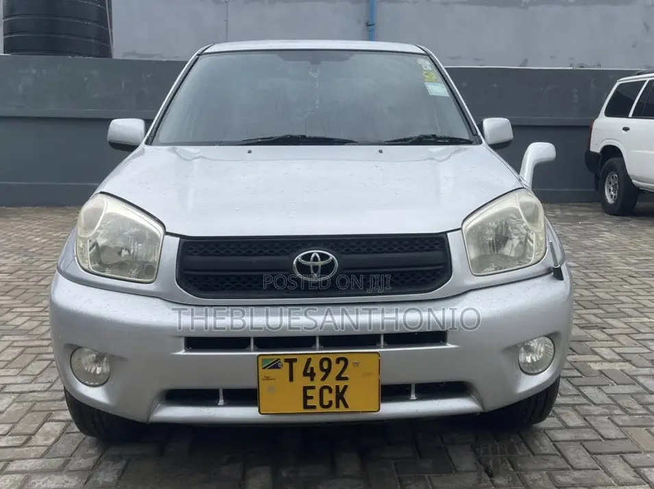 Toyota RAV4 2004 Silver