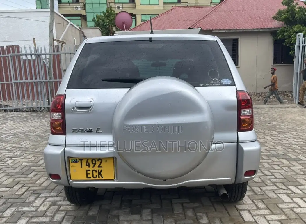 Toyota RAV4 2004 Silver