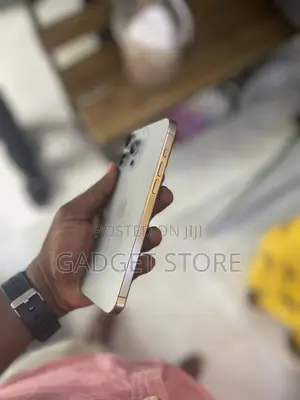 Apple iPhone 15 Pro Max 256 GB Gray