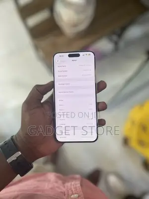 Apple iPhone 15 Pro Max 256 GB Gray