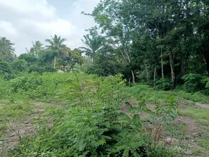 Kiwanja Sqm750 Kimara Korogwe