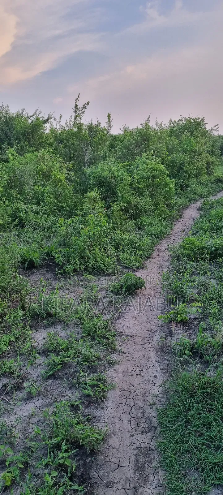 Shamba Rinauzwa Kiwangwa Pwani Ya Bagamoyo