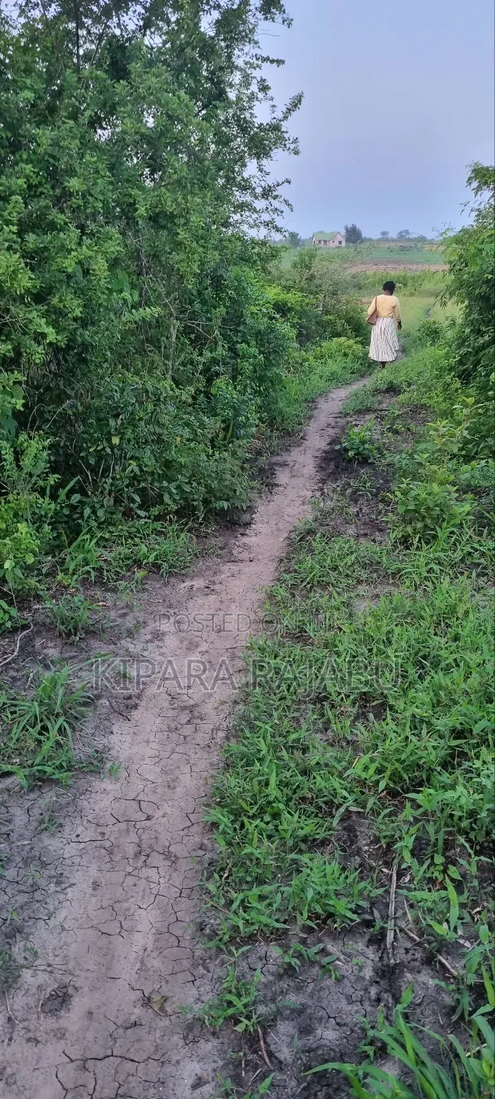 Shamba Rinauzwa Kiwangwa Pwani Ya Bagamoyo
