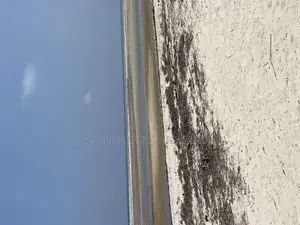 Beach Plot for Sale Mwongozo Kigamboni