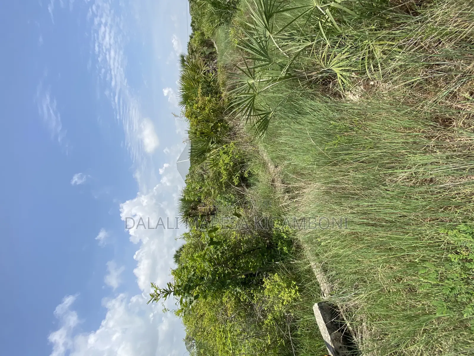 Beach Plot Number Two for Sale Mwongozo Kigamboni