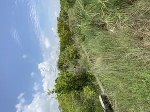 Beach Plot Number Two for Sale Mwongozo Kigamboni